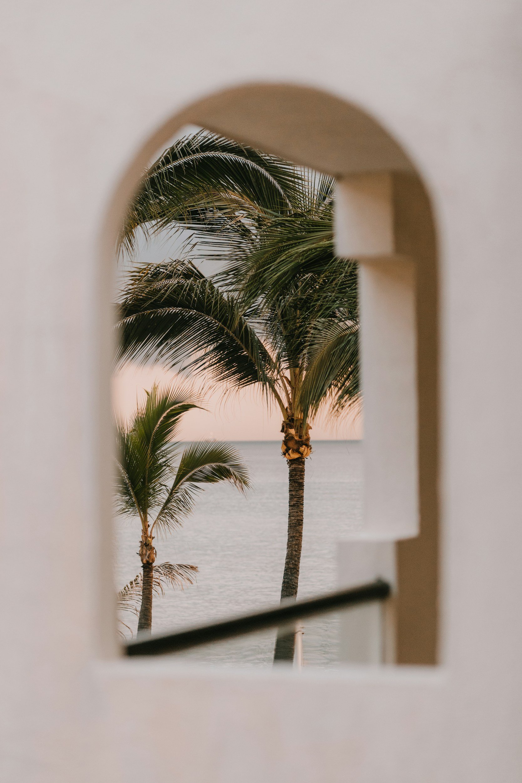 Palm arch at sunset in Zanzibar