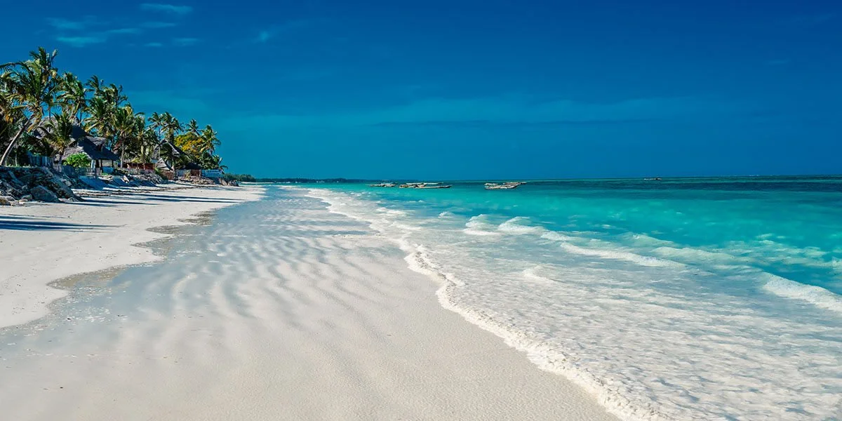 Beach properties in Zanzibar with palm trees